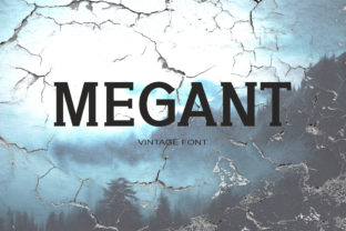 Megant Font: A Playful Serif That Balances Charm and Clarity