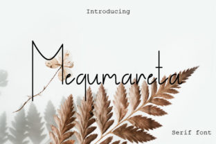 Megumareta: A Light, Modern Font for Clear Creativity