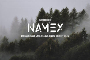 Namex: A Cool, Fun Sans Serif with Authentic Vibe
