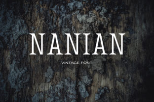 Nanian: A Modern Serif That Feels Like Home
