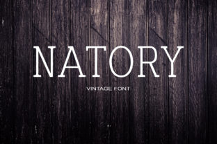 Natory: A Modern Serif That Balances Personality and Professionalism