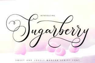 Sugarberry: Where Handwritten Warmth Meets Modern Design Clarity