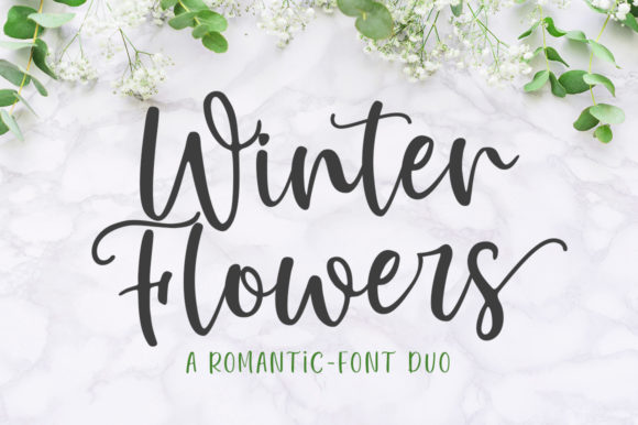 Winter Flowers: A Typographic Expression of Quiet Elegance